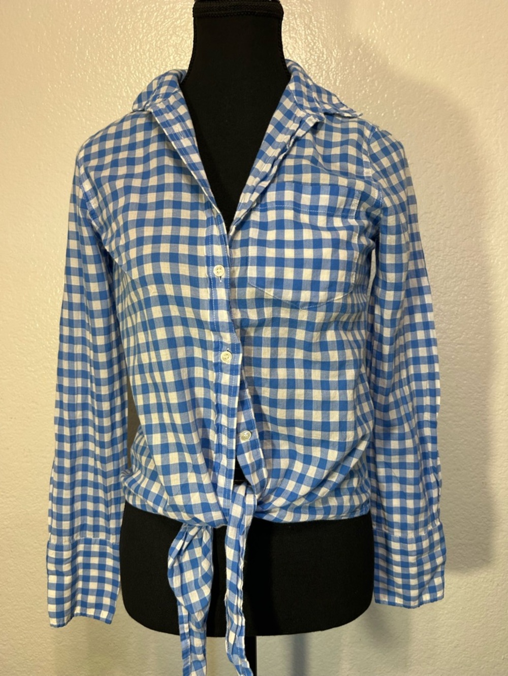 J. Crew Blue and White Gingham Shirt